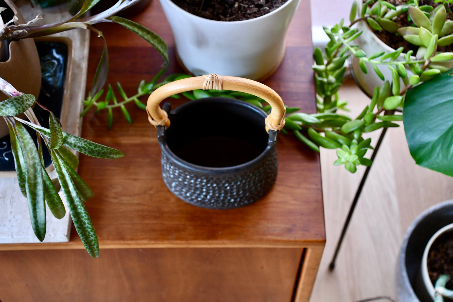 Black textured pot with gold handle on a wooden surface surrounded by plants