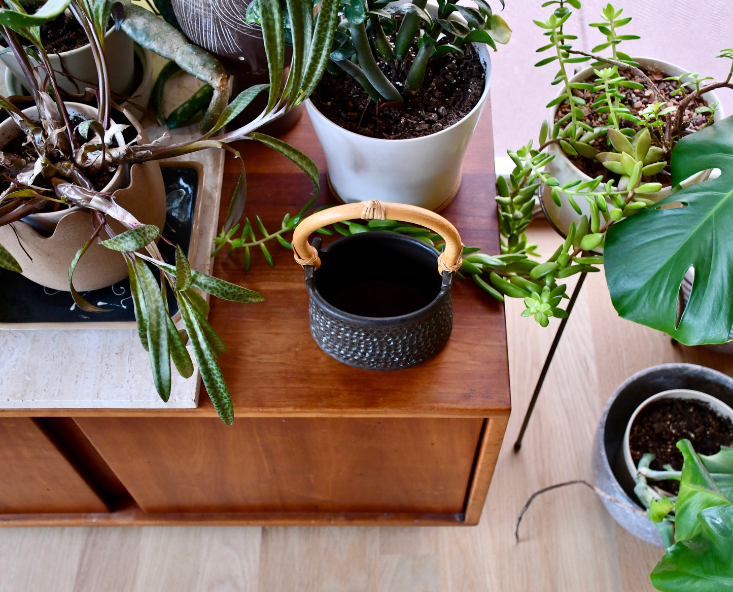 Table with potted plants and a black textured pot on a wooden surface