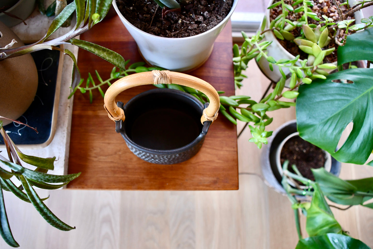 Black pot with gold handle on a wooden surface surrounded by plants
