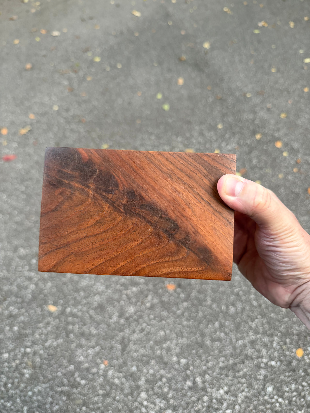 Vintage Handmade Studio Craft One-of-a-Kind Sculpted Walnut Box by Peter Kwasniewski, ca. 1980's