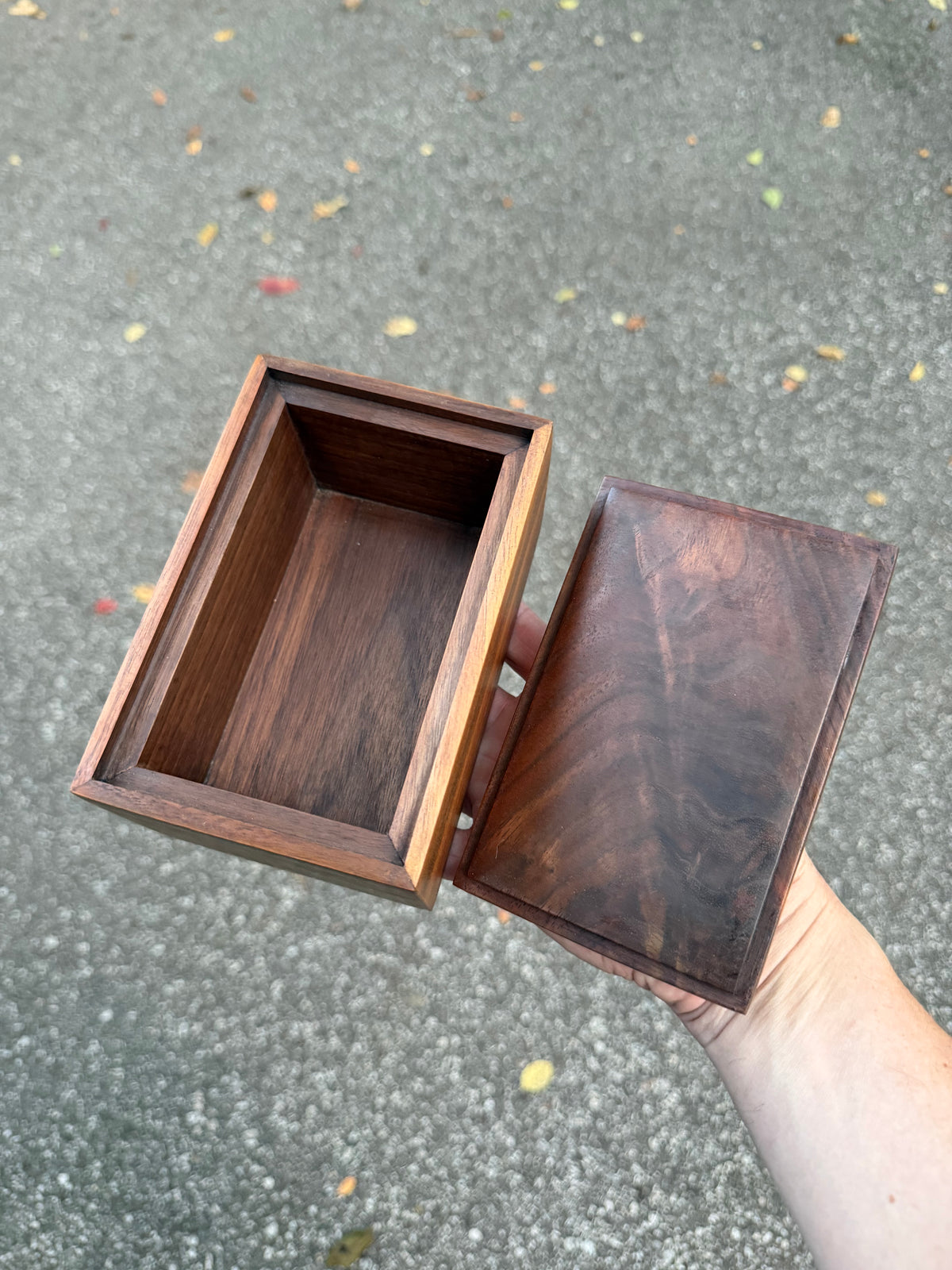 Vintage Handmade Studio Craft One-of-a-Kind Sculpted Walnut Box by Peter Kwasniewski, ca. 1980's