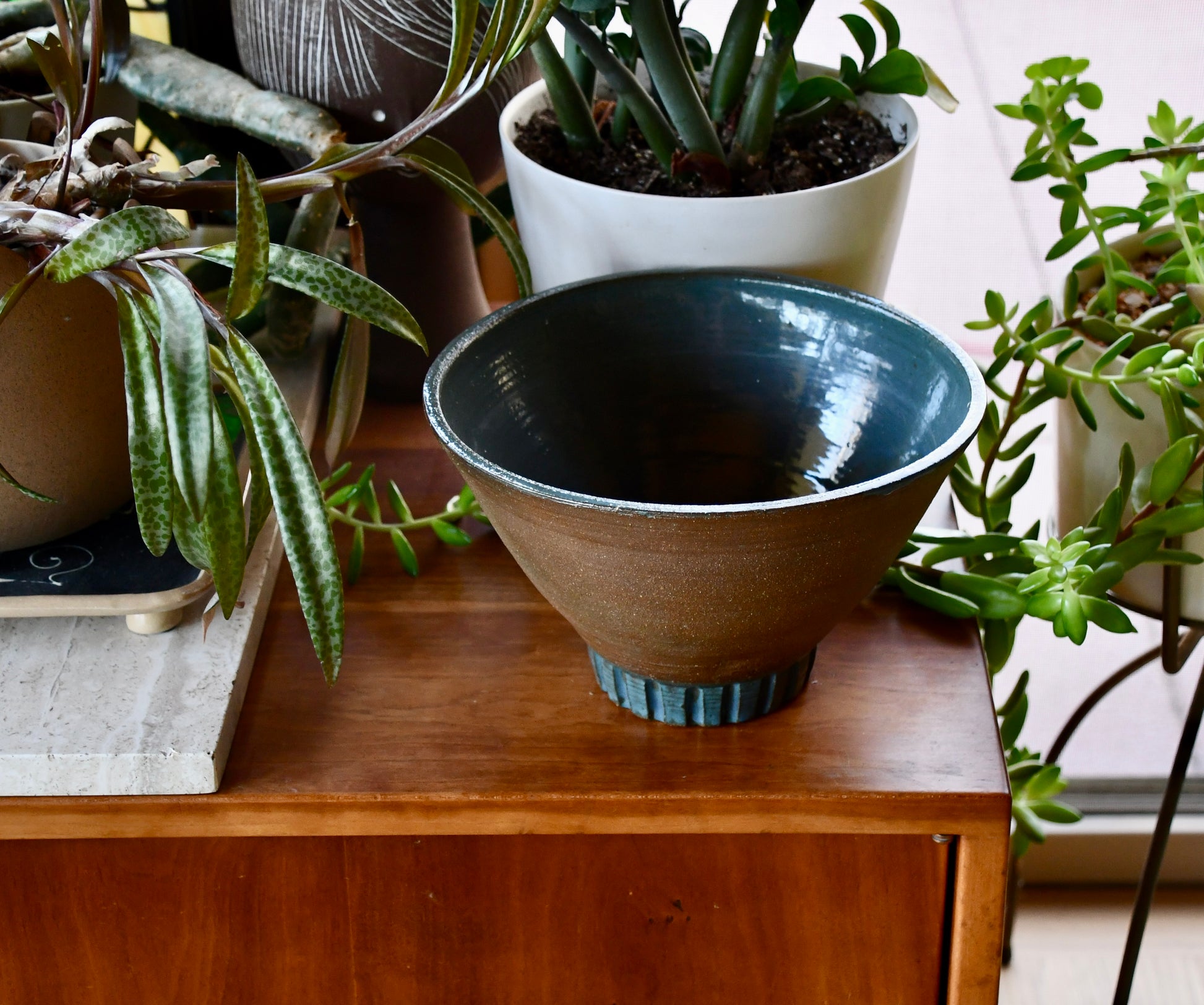 Ceramic bowl on a wooden surface with plants in the background