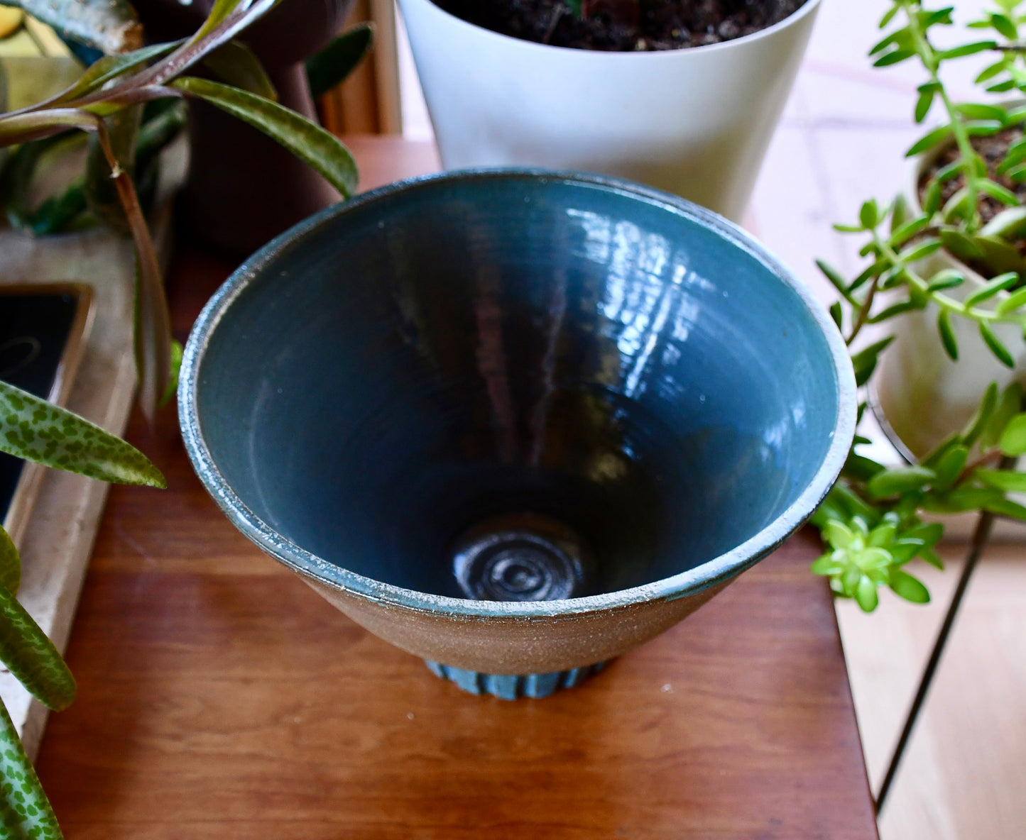Blue ceramic pot on a wooden surface with plants in the background