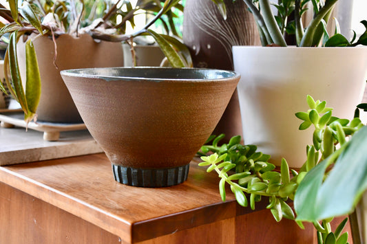 Brown ceramic bowl on a wooden surface with plants in the background