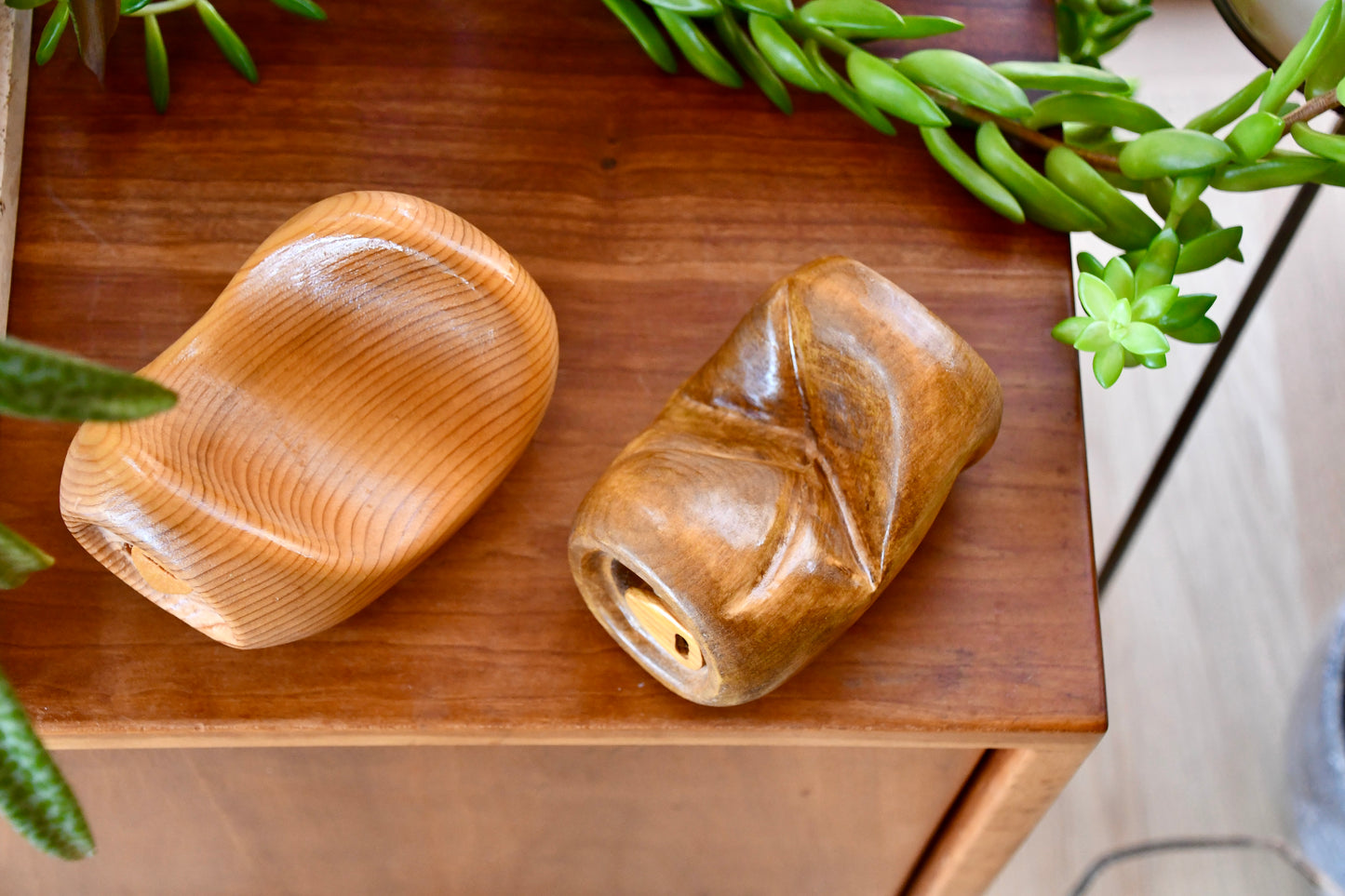 Two wooden objects on a wooden surface with green plants in the background