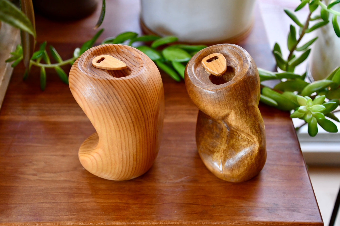 Two wooden salt and pepper shakers on a wooden surface with plants in the background.