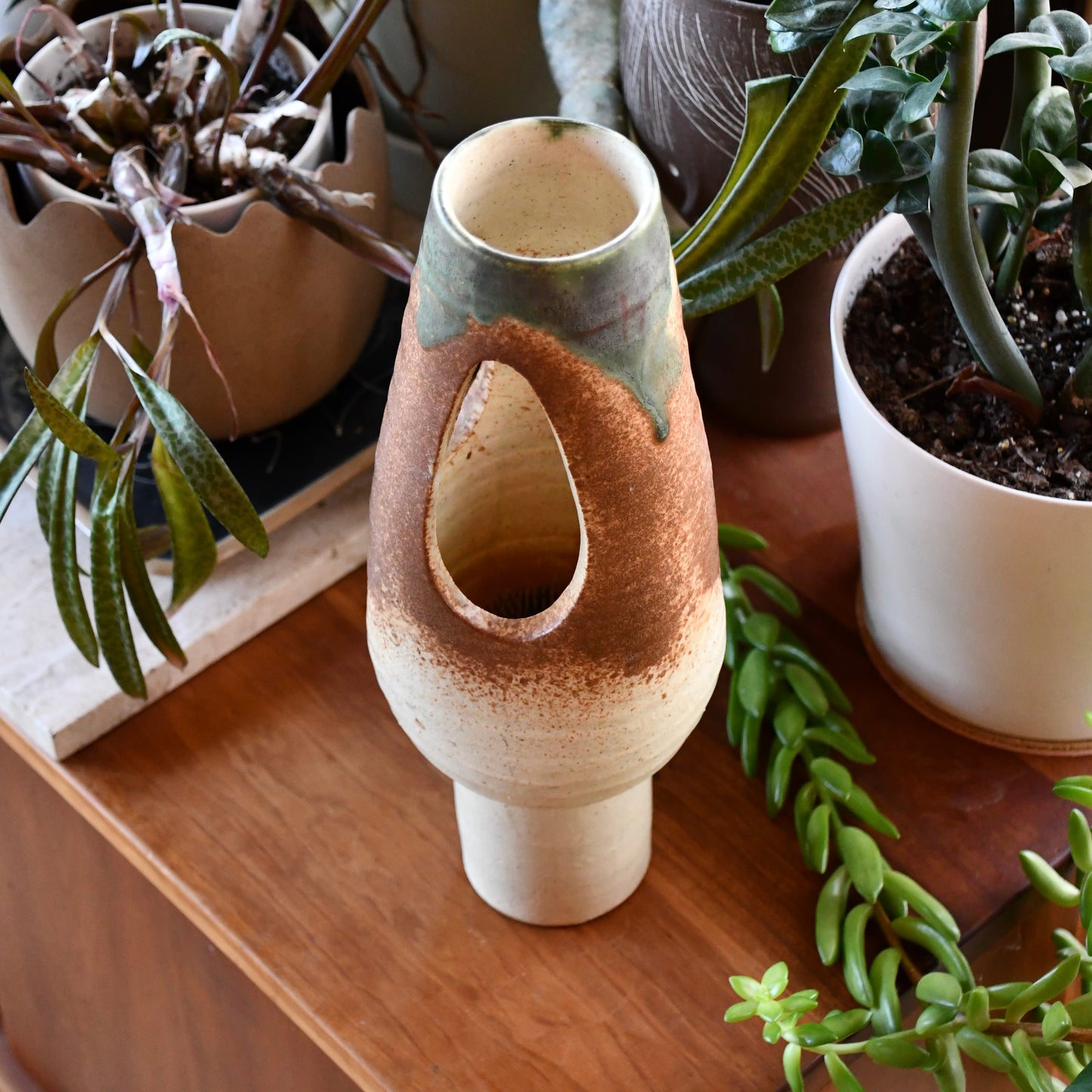 Ceramic vase with textured surface on a wooden surface surrounded by plants