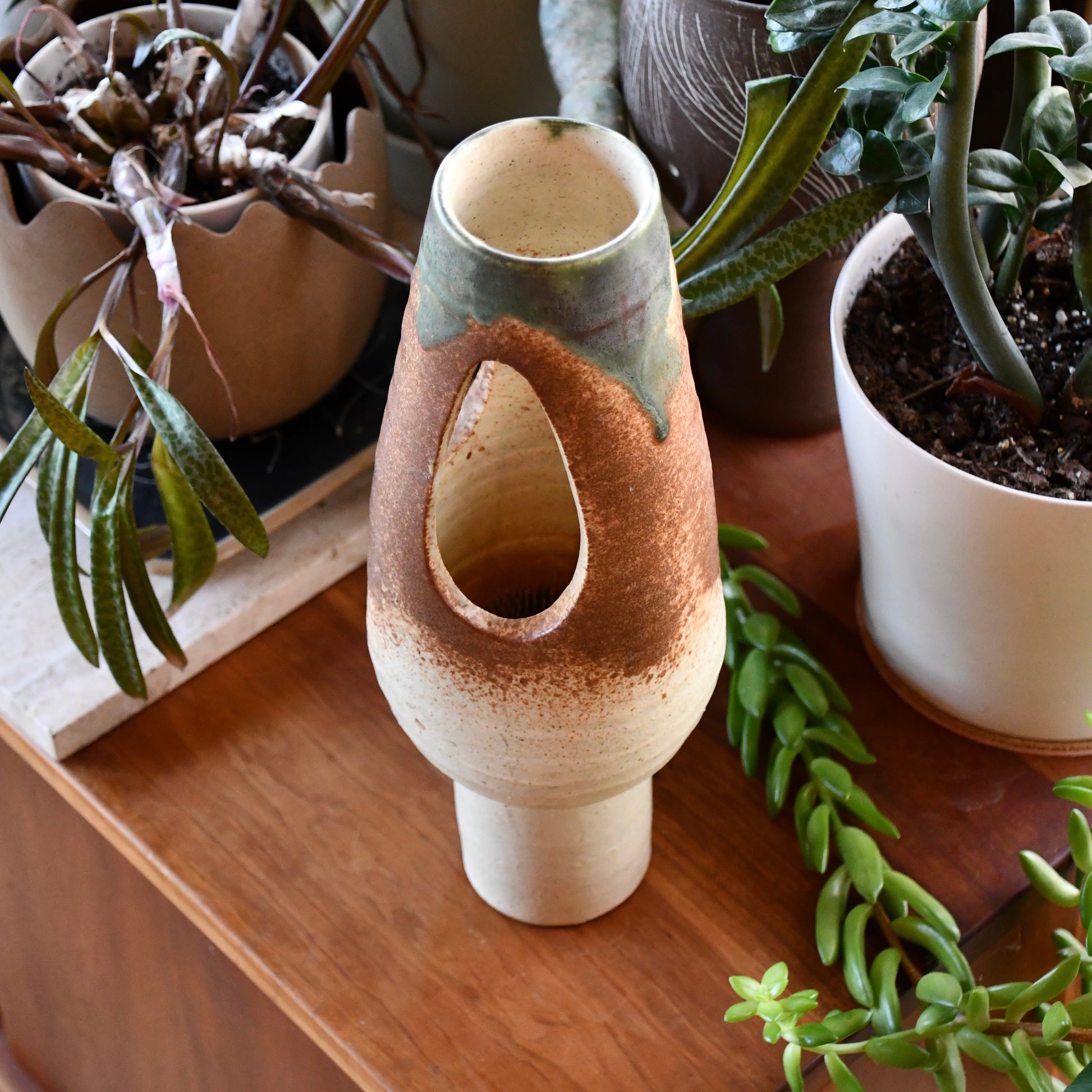 Ceramic vase with textured surface on a wooden surface surrounded by plants