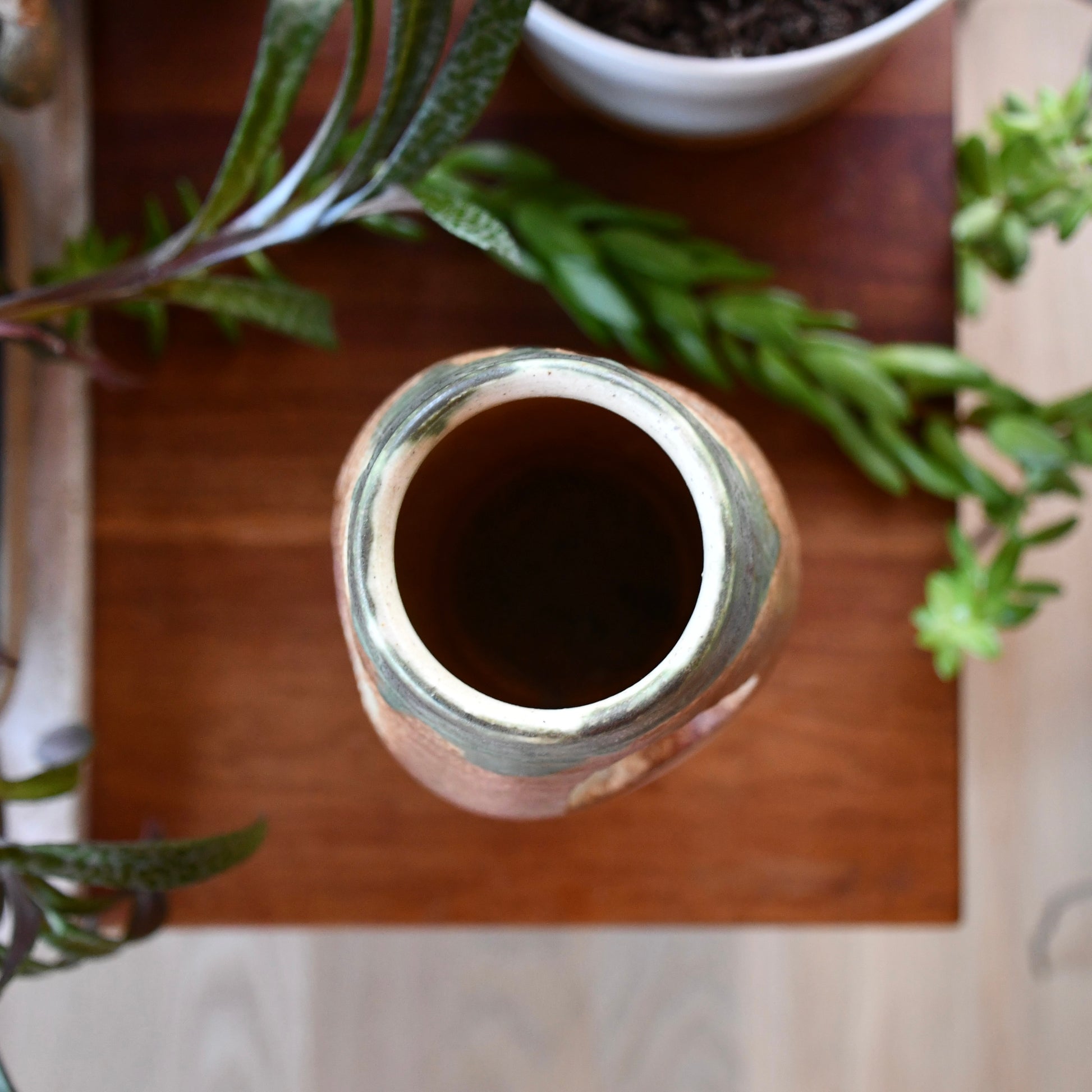 Close-up of a pottery vase with a plant in the background on a wooden surface