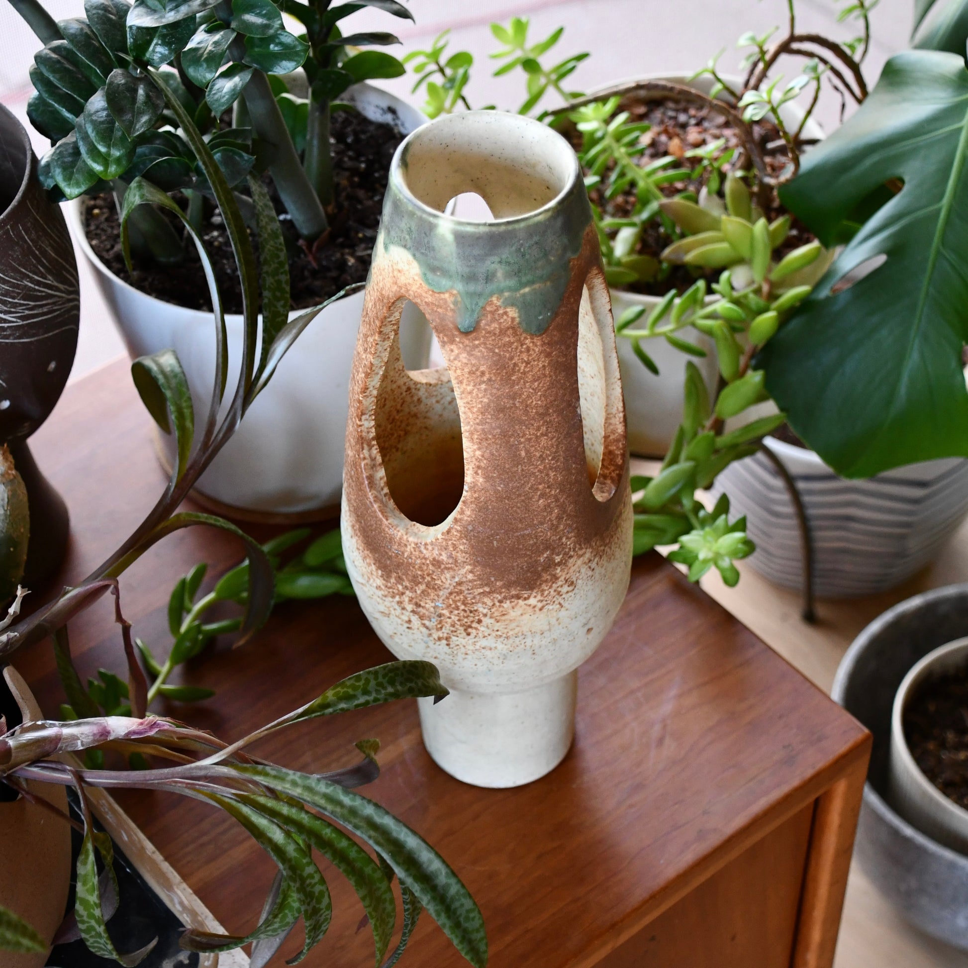 Decorative vase with a textured surface among potted plants on a wooden surface