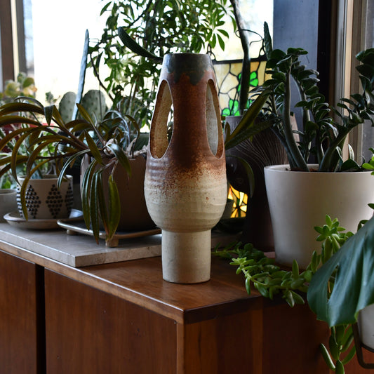 Decorative vase on a wooden surface with plants in the background