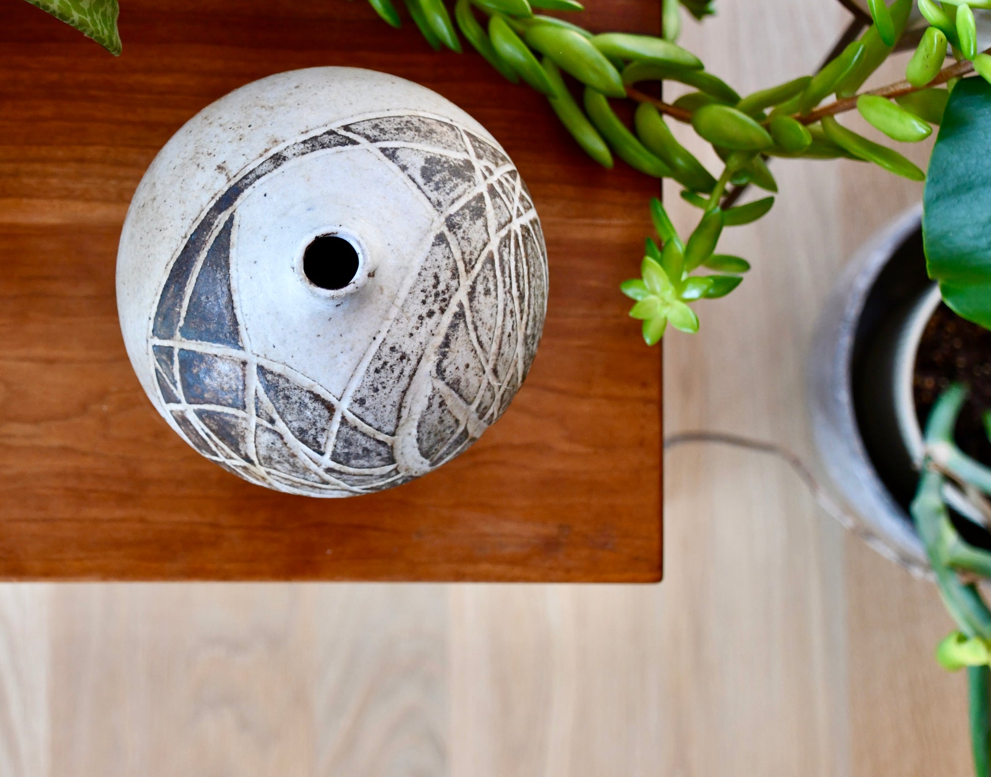 Ceramic vase on a wooden surface with plants in the background