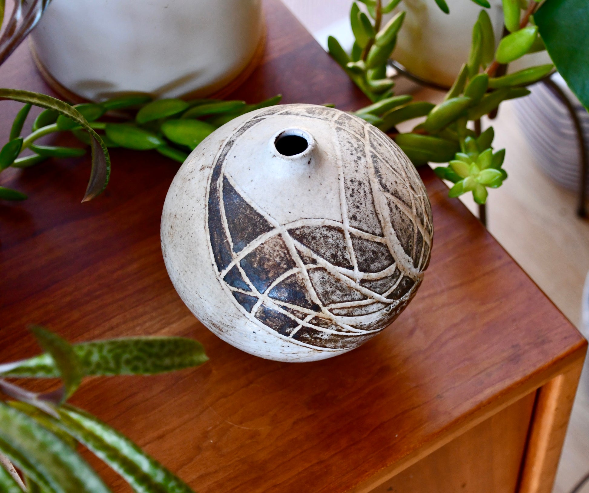 Ceramic vase with decorative patterns on a wooden surface with plants around