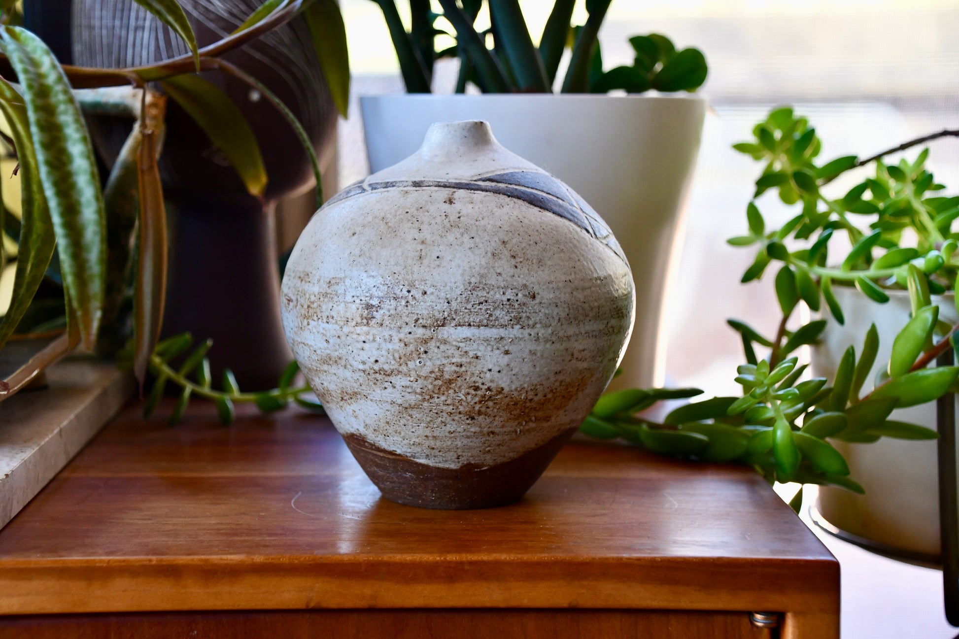 Ceramic vase on a wooden surface with plants in the background
