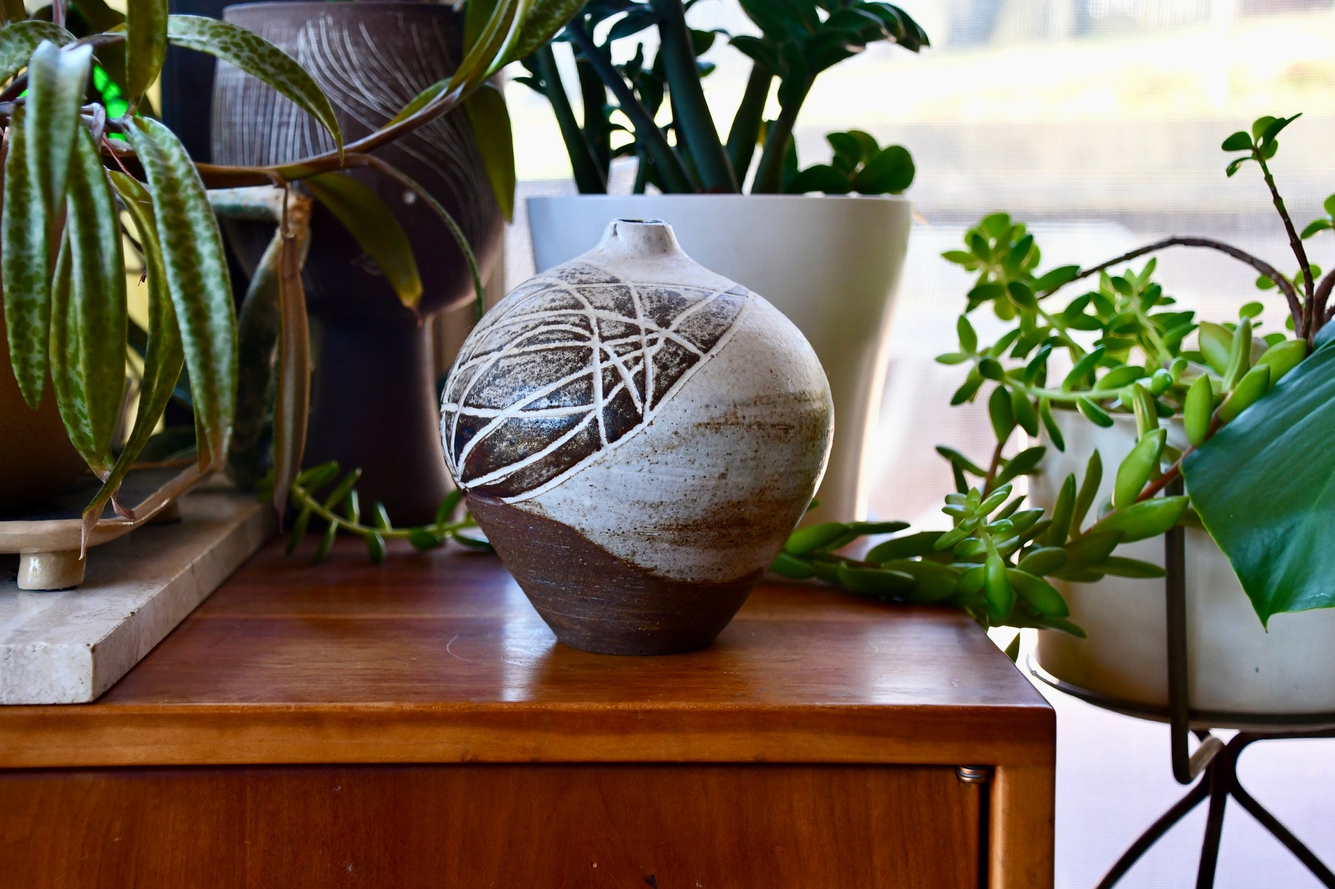 Decorative vase on a wooden surface with plants in the background