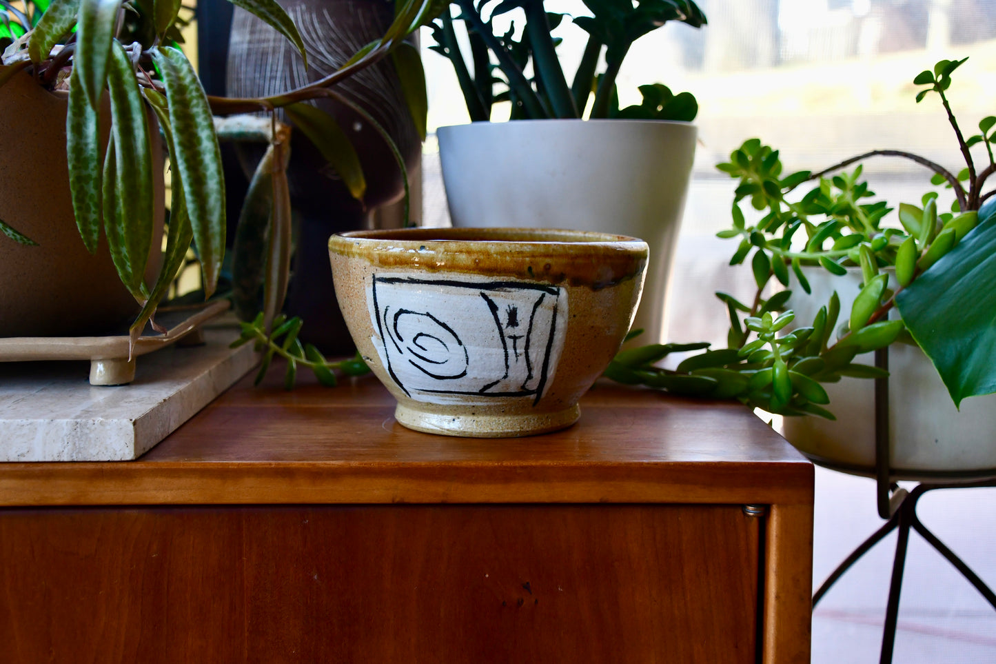 Ceramic bowl with black design on a wooden surface surrounded by plants