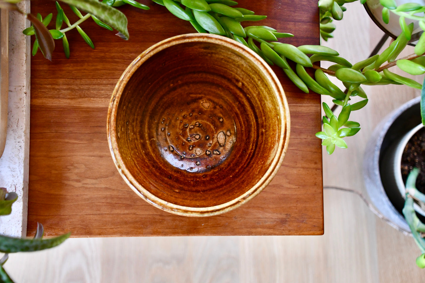 Brown ceramic bowl on a wooden tray with green plants in the background