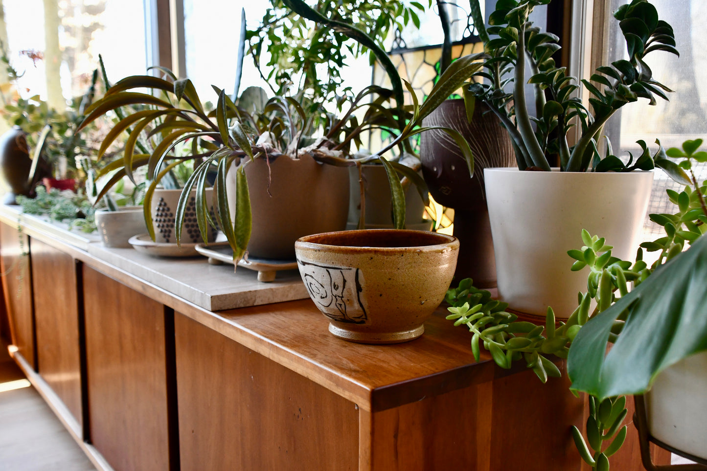 Wooden cabinet with various potted plants in a bright room