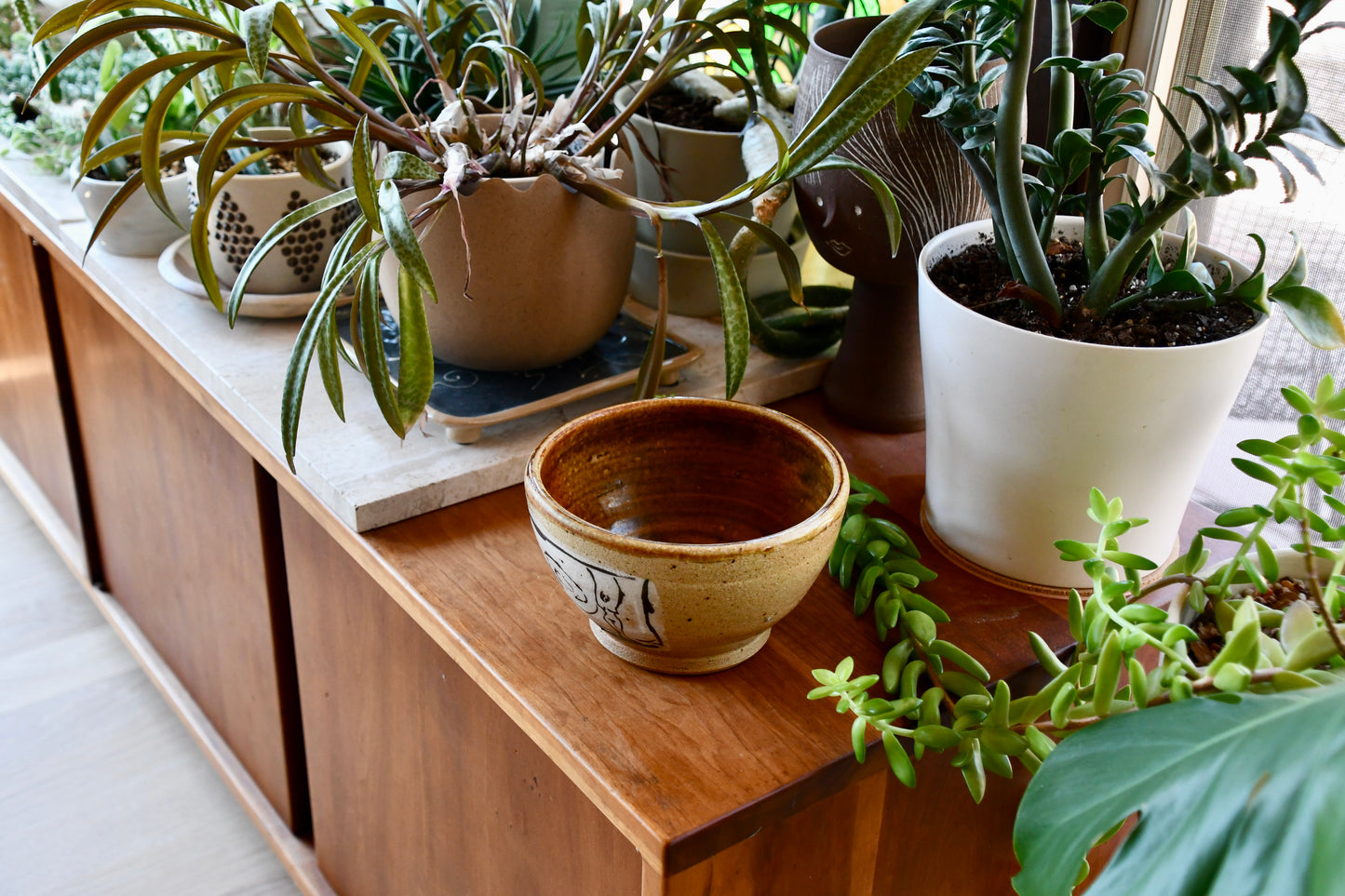 Wooden shelf with potted plants and a ceramic bowl
