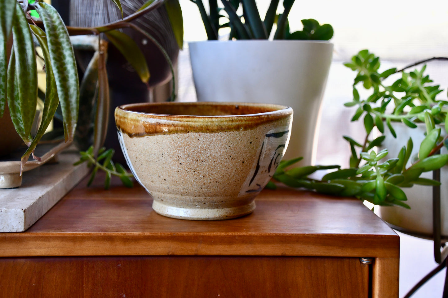Ceramic bowl on a wooden surface with plants in the background