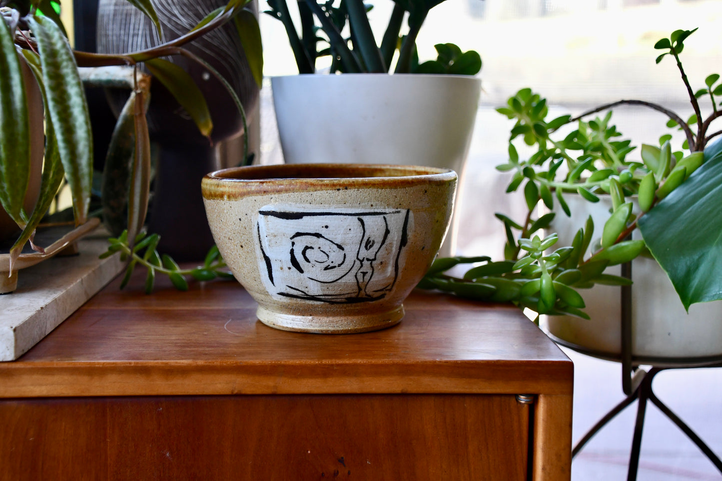 Ceramic bowl with black design on a wooden surface surrounded by plants